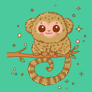 Sagui Pigmeu - Fauna Fofa