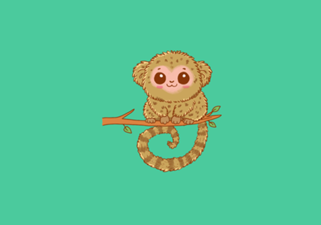 Sagui Pigmeu - Fauna Fofa
