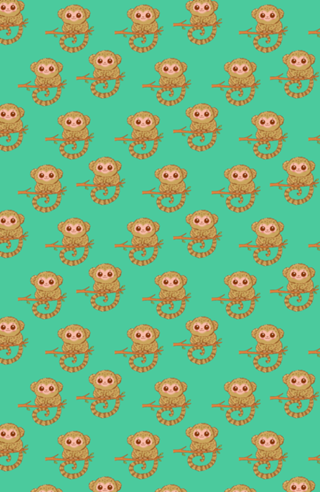 Sagui Pigmeu - Fauna Fofa