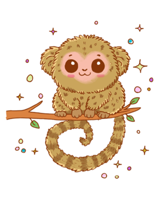 Sagui Pigmeu - Fauna Fofa