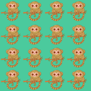 Sagui Pigmeu - Fauna Fofa