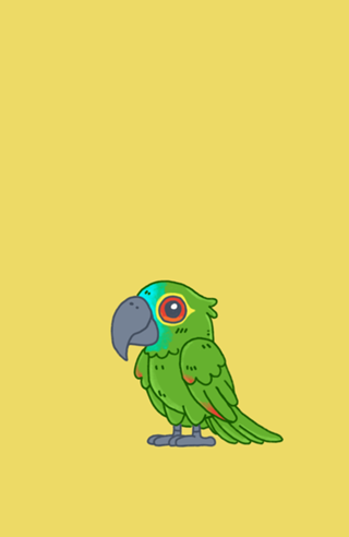 Papagaio Verdadeiro - Fauna Fofa