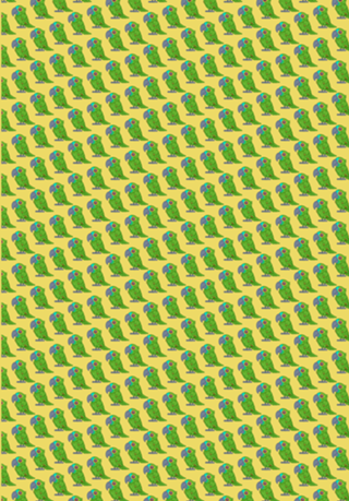 Papagaio Verdadeiro - Fauna Fofa