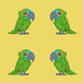 Papagaio Verdadeiro - Fauna Fofa