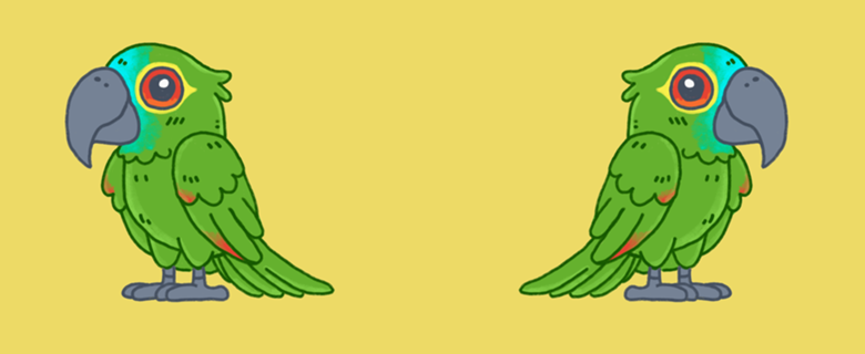 Papagaio Verdadeiro - Fauna Fofa