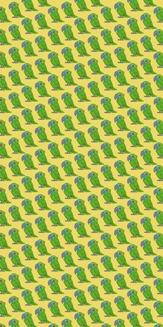 Papagaio Verdadeiro - Fauna Fofa