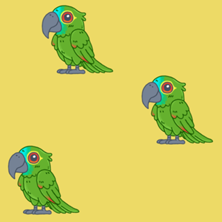Papagaio Verdadeiro - Fauna Fofa