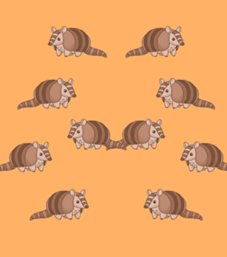 Tatu - Fauna Fofa