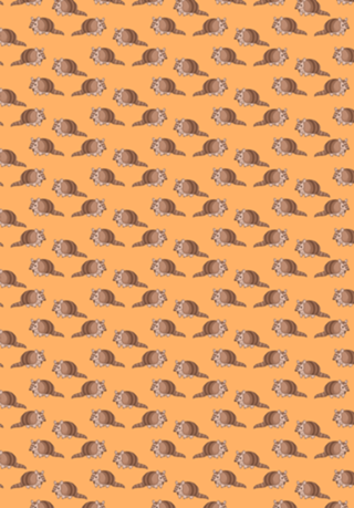 Tatu - Fauna Fofa