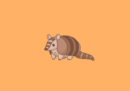 Tatu - Fauna Fofa