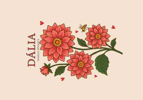 Dália - Coleção Flora