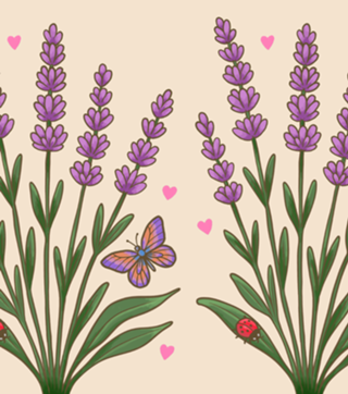 Lavanda - - Coleção Flora