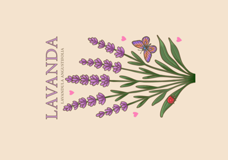 Lavanda - - Coleção Flora