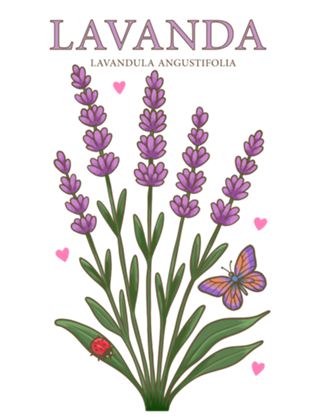 Lavanda - - Coleção Flora