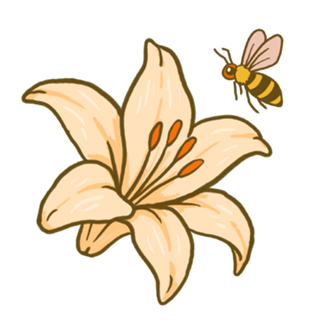 Lírio - Coleção Flora