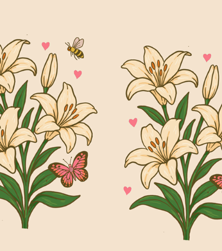 Lírio - Coleção Flora