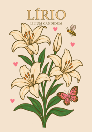 Lírio - Coleção Flora