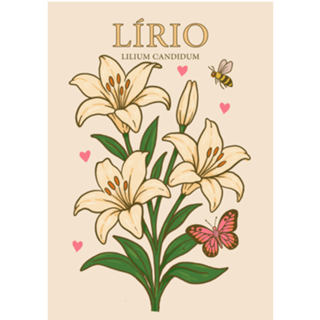 Lírio - Coleção Flora