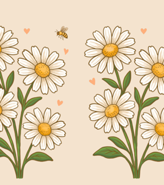 Margarida - Coleção Flora