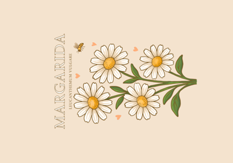 Margarida - Coleção Flora