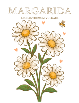 Margarida - Coleção Flora