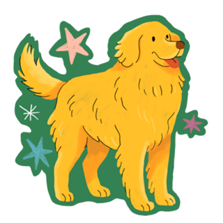 Golden Retriever - Coleção Meu Pet