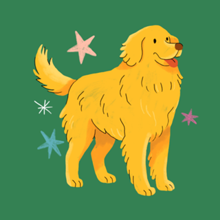 Golden Retriever - Coleção Meu Pet