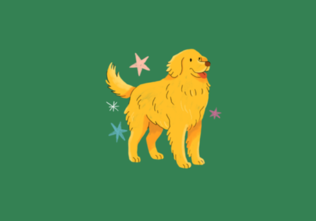 Golden Retriever - Coleção Meu Pet