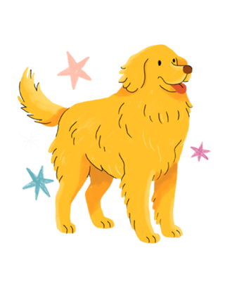 Golden Retriever - Coleção Meu Pet