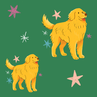 Golden Retriever - Coleção Meu Pet