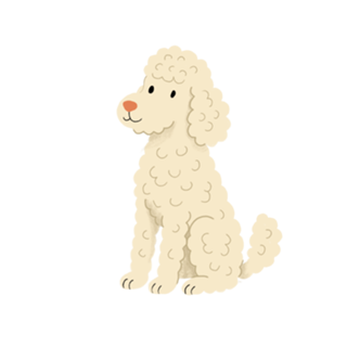 Poodle - Coleção Meu Pet