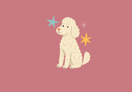 Poodle - Coleção Meu Pet
