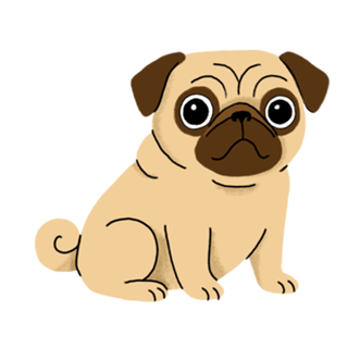 Pug - Coleção Meu Pet
