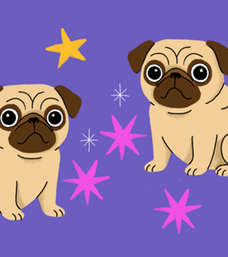 Pug - Coleção Meu Pet