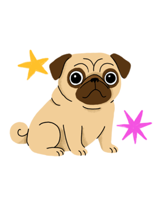 Pug - Coleção Meu Pet