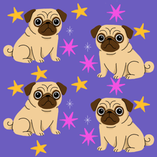 Pug - Coleção Meu Pet