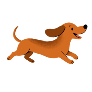 Dachshund - Coleção Meu Pet