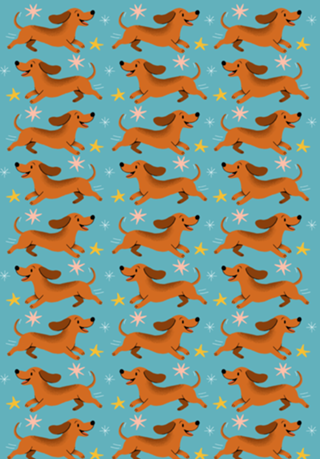 Dachshund - Coleção Meu Pet
