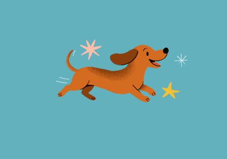 Dachshund - Coleção Meu Pet
