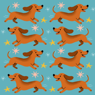 Dachshund - Coleção Meu Pet