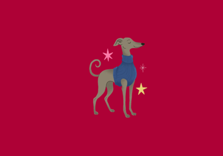 Galgo Italiano - Coleção Meu Pet