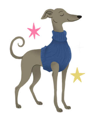 Galgo Italiano - Coleção Meu Pet