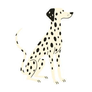 Dálmata - Coleção Meu Pet