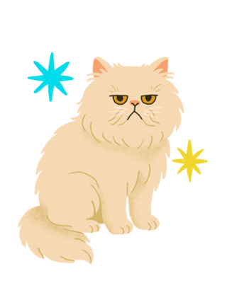 Gato Persa - Coleção Meu Pet