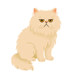 Gato Persa - Coleção Meu Pet