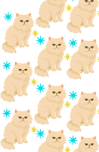 Gato Persa - Coleção Meu Pet