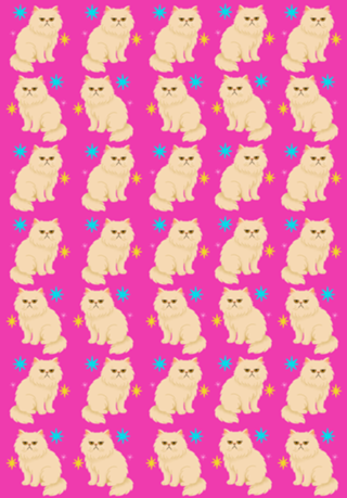 Gato Persa - Coleção Meu Pet