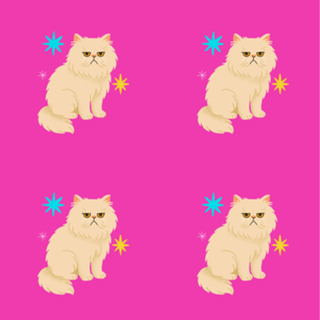 Gato Persa - Coleção Meu Pet