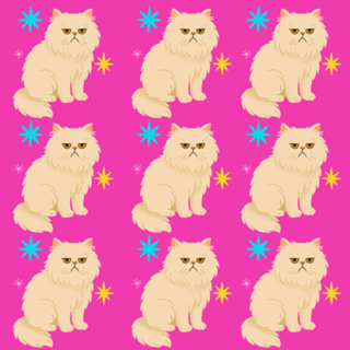 Gato Persa - Coleção Meu Pet