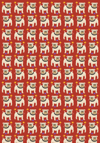 Buldogue - Coleção Meu Pet